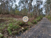 Terreno Rstico - Silveiros e Rio Covo, Barcelos, Braga - Miniatura: 8/9