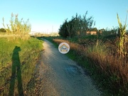 Terreno Rstico - Aradas, Aveiro, Aveiro - Miniatura: 4/9