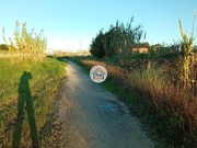Terreno Rstico - Aradas, Aveiro, Aveiro - Miniatura: 9/9
