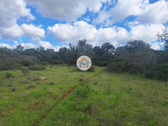 Terreno Rústico - Faro, Faro, Faro (Algarve) - Imagem grande