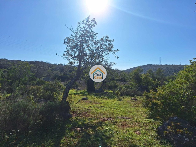 Terreno Rústico - São Brás de Alportel, São Brás de Alportel, Faro (Algarve) - Imagem grande