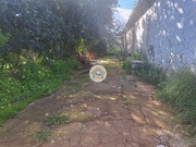 Moradia T5 - So Brs de Alportel, So Brs de Alportel, Faro (Algarve) - Miniatura: 3/9