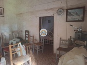 Moradia T5 - So Brs de Alportel, So Brs de Alportel, Faro (Algarve) - Miniatura: 8/9