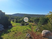 Terreno Rstico - So Brs de Alportel, So Brs de Alportel, Faro (Algarve) - Miniatura: 8/9