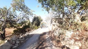 Terreno Rstico - So Brs de Alportel, So Brs de Alportel, Faro (Algarve) - Miniatura: 2/9