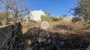 Terreno Rstico - So Brs de Alportel, So Brs de Alportel, Faro (Algarve) - Miniatura: 4/9