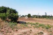 Terreno Rstico - Ovar, Ovar, Aveiro - Miniatura: 3/7