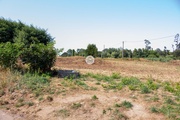 Terreno Rstico - Ovar, Ovar, Aveiro - Miniatura: 5/7