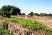 Terreno Rstico - Ovar, Ovar, Aveiro - Miniatura: 7/7