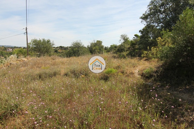 Terreno Rstico - Conceio, Faro, Faro (Algarve) - Imagem grande