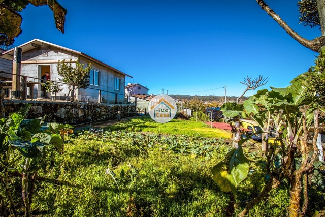 Terreno Rústico - Couto de Baixo, Viseu, Viseu - Imagem grande