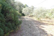 Terreno Rstico - Conceio, Faro, Faro (Algarve) - Miniatura: 1/9