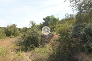 Terreno Rstico - Conceio, Faro, Faro (Algarve) - Miniatura: 5/9