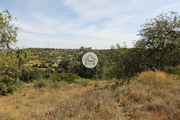 Terreno Rstico - Conceio, Faro, Faro (Algarve) - Miniatura: 6/9
