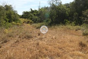 Terreno Rstico - Conceio, Faro, Faro (Algarve) - Miniatura: 7/9