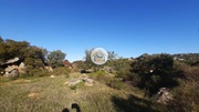 Terreno Rstico - So Brs de Alportel, So Brs de Alportel, Faro (Algarve) - Miniatura: 3/9