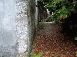 Moradia T3 - Chave, Arouca, Aveiro - Miniatura: 8/21