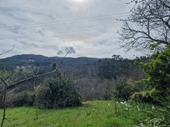 Moradia T3 - Chave, Arouca, Aveiro - Miniatura: 12/21