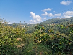 Moradia T3 - Chave, Arouca, Aveiro - Miniatura: 15/21