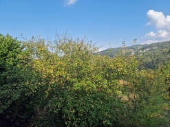 Moradia T3 - Chave, Arouca, Aveiro - Miniatura: 17/21