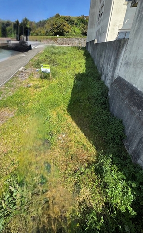 Terreno R�stico - S�o Jo�o da Madeira, S�o Jo�o da Madeira, Aveiro - Imagem grande