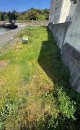 Terreno R�stico - S�o Jo�o da Madeira, S�o Jo�o da Madeira, Aveiro
