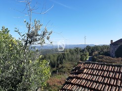 Moradia T3 - Escariz, Arouca, Aveiro - Miniatura: 23/23