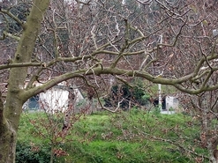 Terreno R�stico - Rossas, Arouca, Aveiro - Miniatura: 3/11