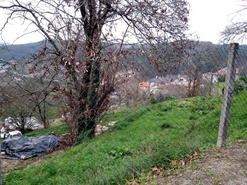 Terreno R�stico - Rossas, Arouca, Aveiro - Miniatura: 7/11