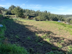 Moradia T3 - Escariz, Arouca, Aveiro - Miniatura: 14/23