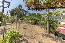 Moradia T1 - Ossela, Oliveira de Azem�is, Aveiro - Miniatura: 22/36