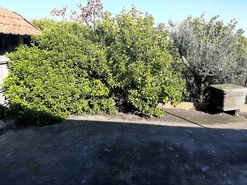 Moradia T3 - Escariz, Arouca, Aveiro - Miniatura: 16/23