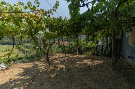 Moradia T1 - Ossela, Oliveira de Azem�is, Aveiro - Miniatura: 8/36