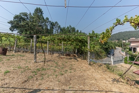 Moradia T1 - Ossela, Oliveira de Azem�is, Aveiro - Miniatura: 12/36