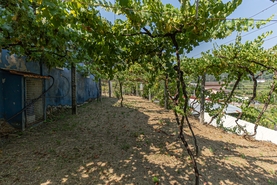 Moradia T1 - Ossela, Oliveira de Azem�is, Aveiro - Miniatura: 14/36