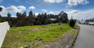 Terreno R�stico - Cesar, Oliveira de Azem�is, Aveiro - Miniatura: 1/5