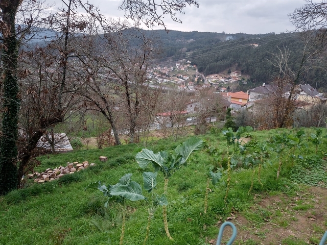 Terreno R�stico - Rossas, Arouca, Aveiro - Imagem grande