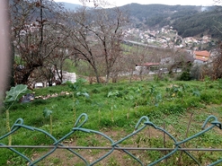 Terreno R�stico - Rossas, Arouca, Aveiro - Miniatura: 4/11