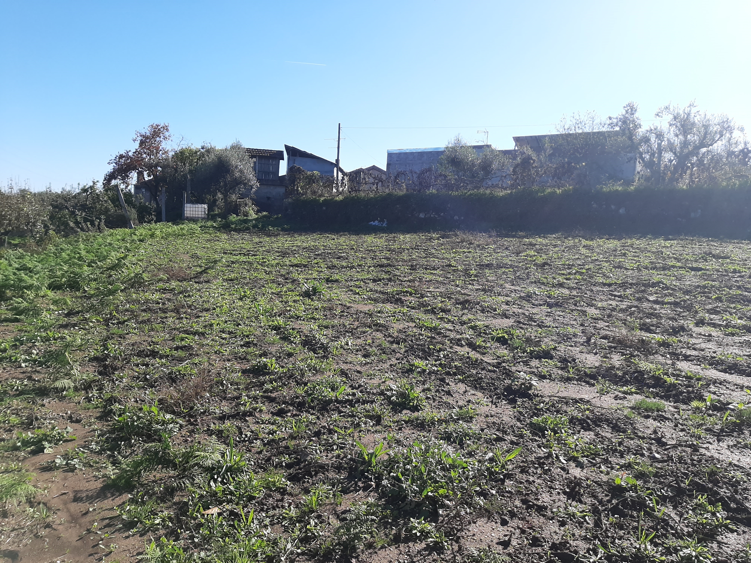Moradia T3 - Escariz, Arouca, Aveiro - Miniatura: 15/23