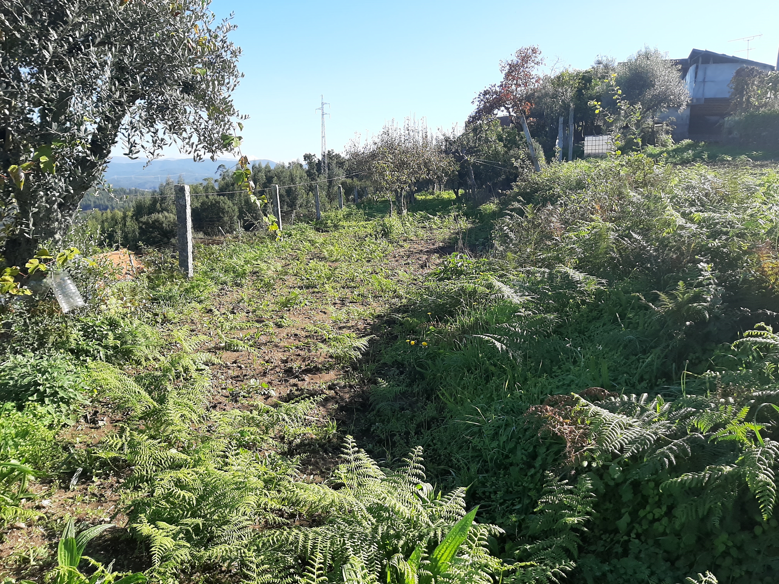 Moradia T3 - Escariz, Arouca, Aveiro - Miniatura: 17/23