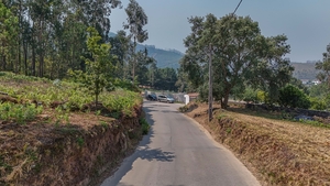 Terreno R�stico - Ossela, Oliveira de Azem�is, Aveiro - Miniatura: 9/10