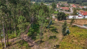 Terreno R�stico - Ossela, Oliveira de Azem�is, Aveiro - Miniatura: 5/9