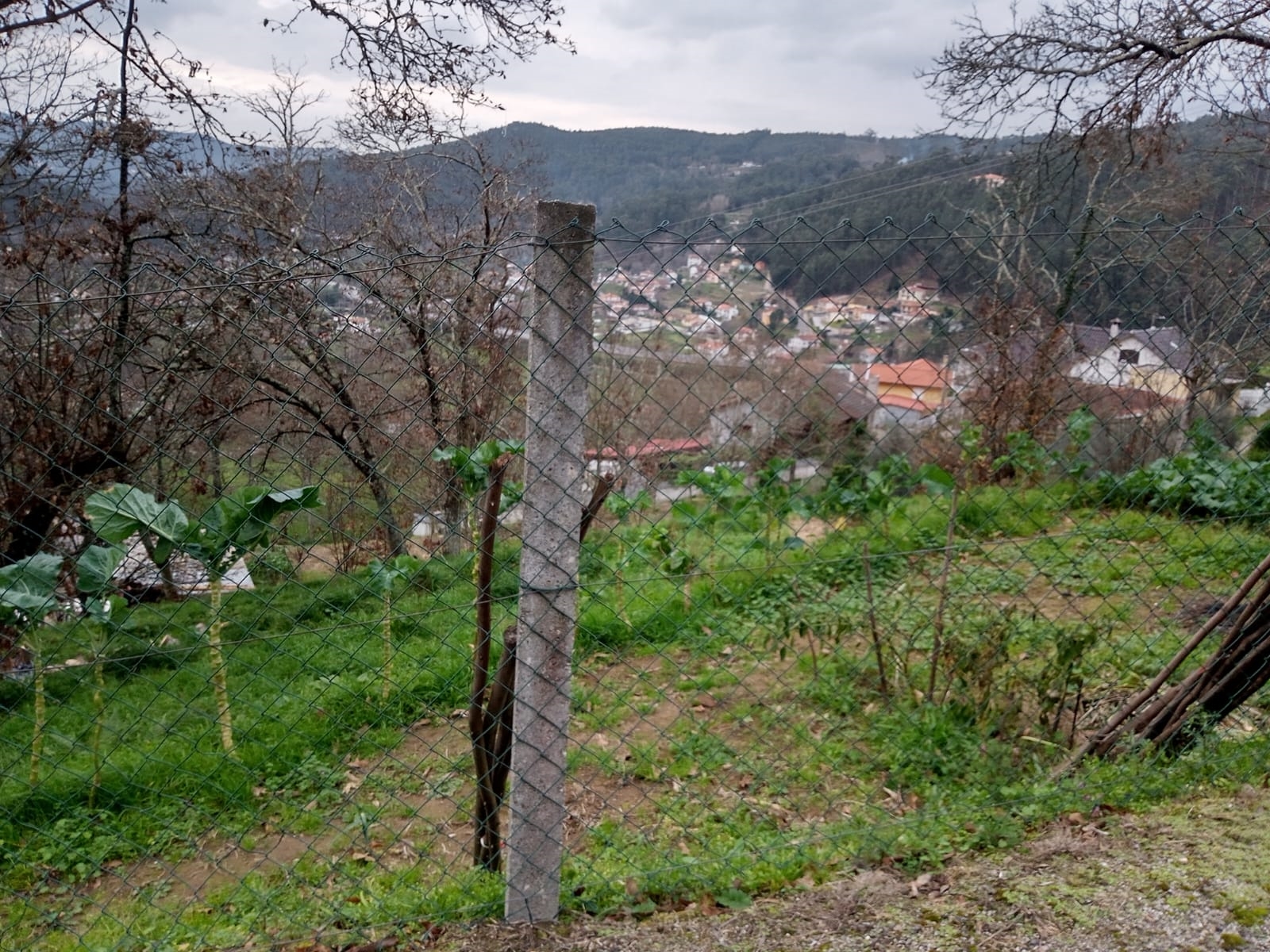 Terreno R�stico - Rossas, Arouca, Aveiro - Miniatura: 2/11