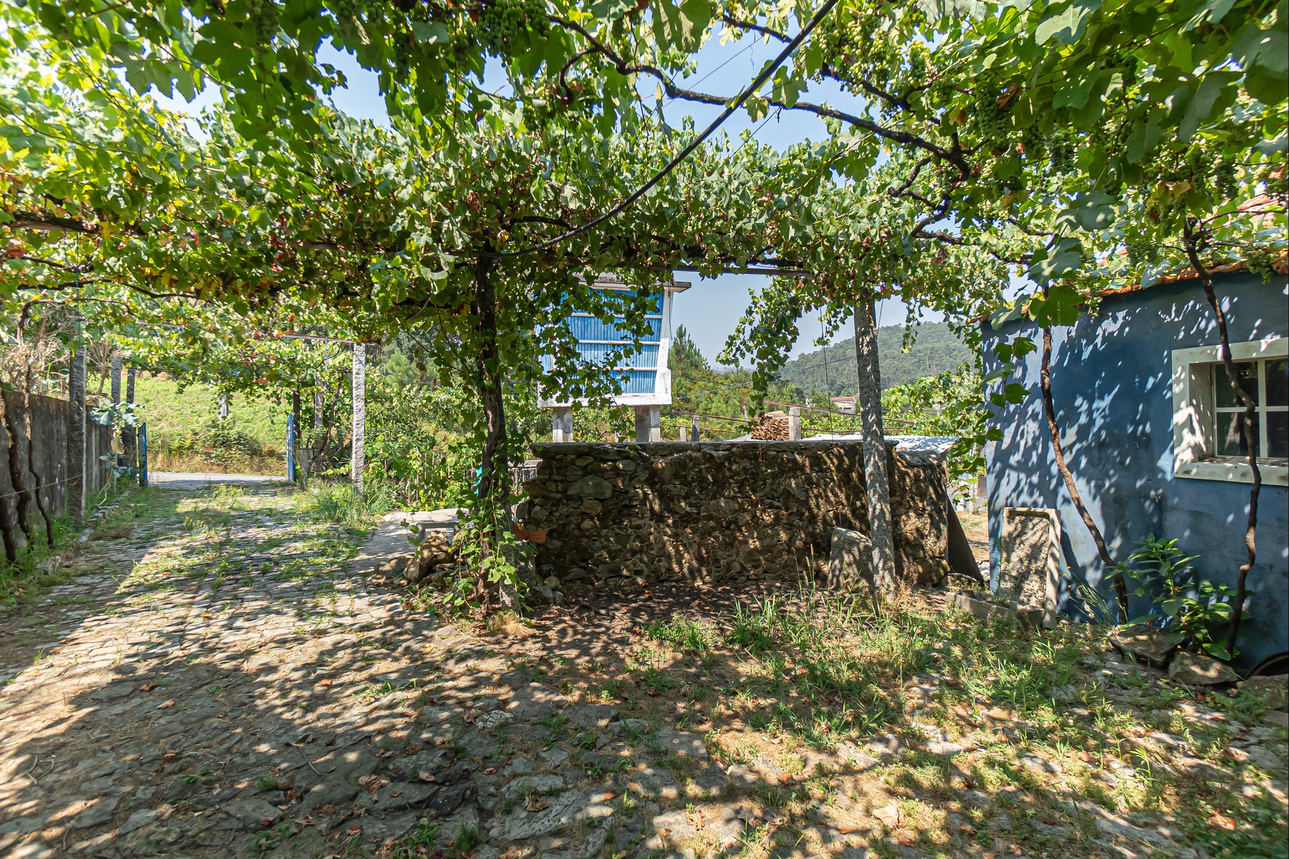 Moradia T1 - Ossela, Oliveira de Azem�is, Aveiro - Miniatura: 25/36