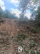 Terreno R�stico - Arouca, Arouca, Aveiro - Miniatura: 2/9