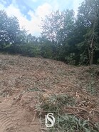 Terreno R�stico - Arouca, Arouca, Aveiro - Miniatura: 7/9
