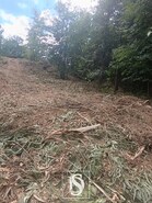 Terreno R�stico - Arouca, Arouca, Aveiro - Miniatura: 8/9