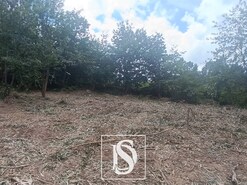 Terreno R�stico - Arouca, Arouca, Aveiro - Miniatura: 9/9