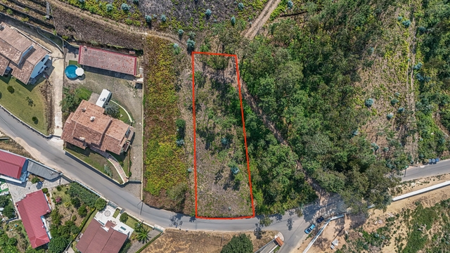 Terreno R�stico - Ossela, Oliveira de Azem�is, Aveiro - Imagem grande