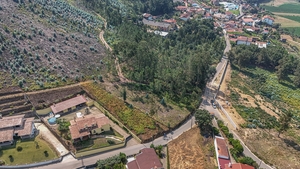 Terreno R�stico - Ossela, Oliveira de Azem�is, Aveiro - Miniatura: 8/9